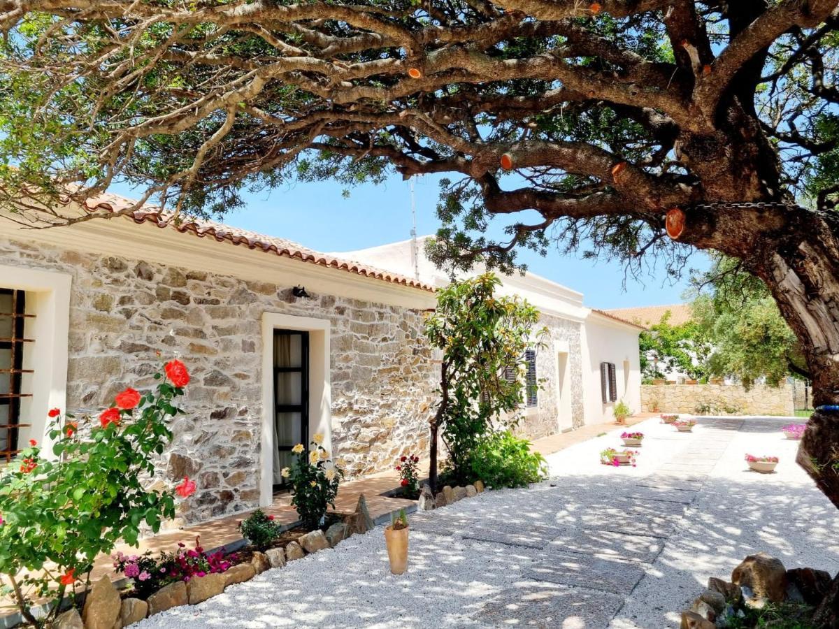 Stazzo San Teodoro La Quercia Piscina Condivisa Apartment Exterior photo